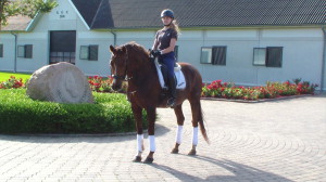 augusti 2012 019
