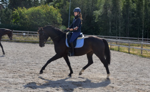 inriden 3 år