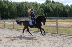 3 år