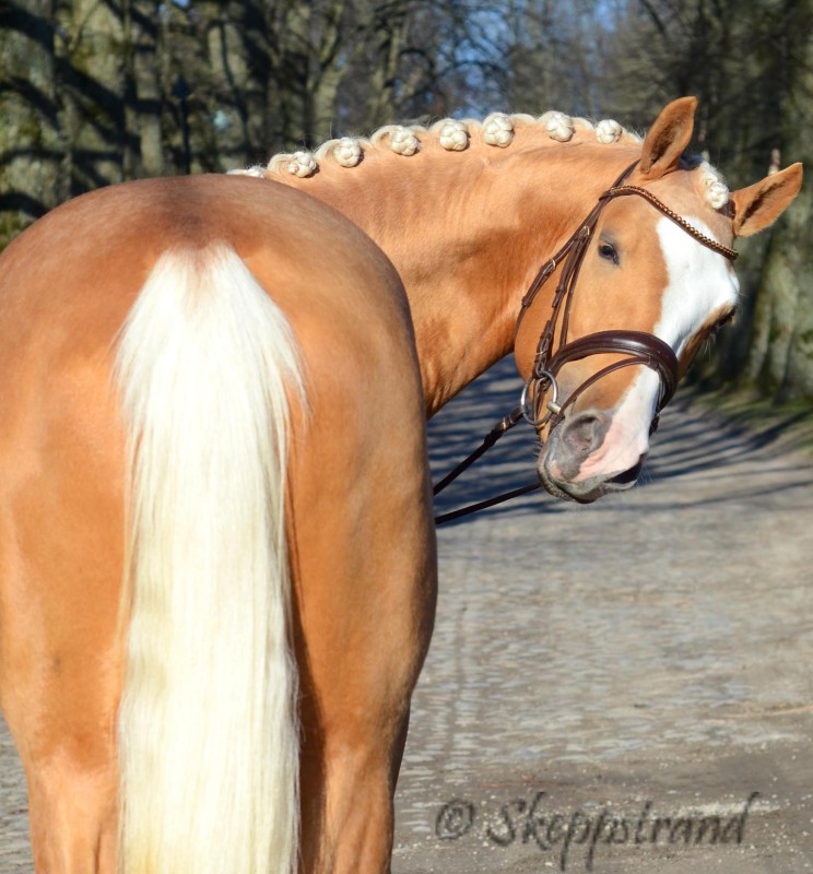 zDSC_0745-cr