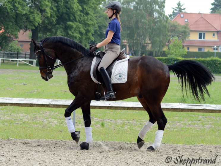 SilvioDSC_7028